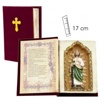 Libro San Judas Tadeo - 17 cms